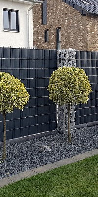 20190930 170425